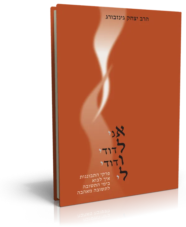 עטיפת הספר אני לדודי