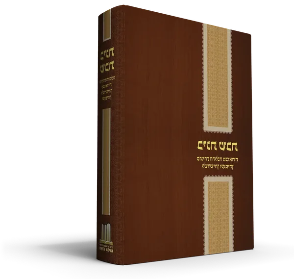 עטיפת הספר בינת שבת