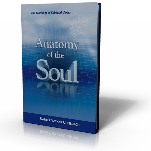 עטיפת הספר Anatomy of the Soul