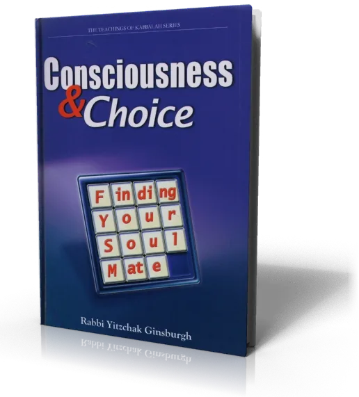 עטיפת הספר Consciousness and Choice