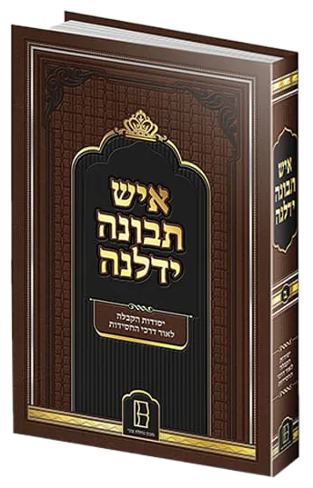עטיפת הספר איש תבונה ידלנה ב