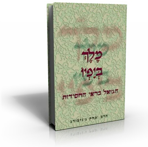 עטיפת הספר מלך ביופיו