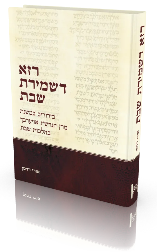 עטיפת הספר רזא דשמירת שבת