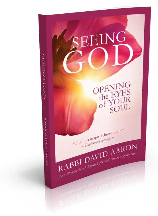 עטיפת הספר Seeing God