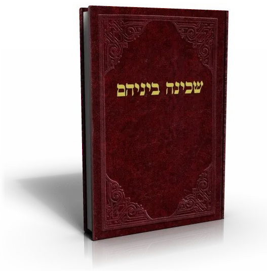 עטיפת הספר שכינה ביניהם